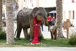 Foto zur News: Figuren im Fahrerlager