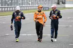 Foto zur News: Max Verstappen (Red Bull), Sergio Perez (Red Bull) und Lando Norris (McLaren)