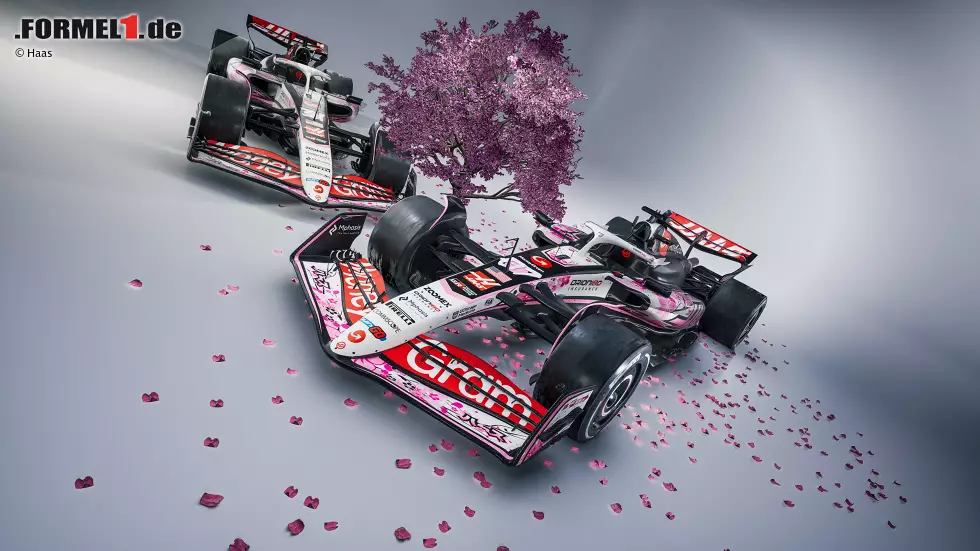 Foto zur News: Haas-Sonderdesign für den Japan-Grand-Prix