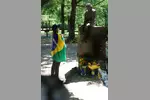 Foto zur News: Denkmal für Ayrton Senna in Imola