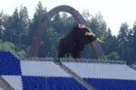 Foto zur News: Blick auf den Red-Bull-Ring
