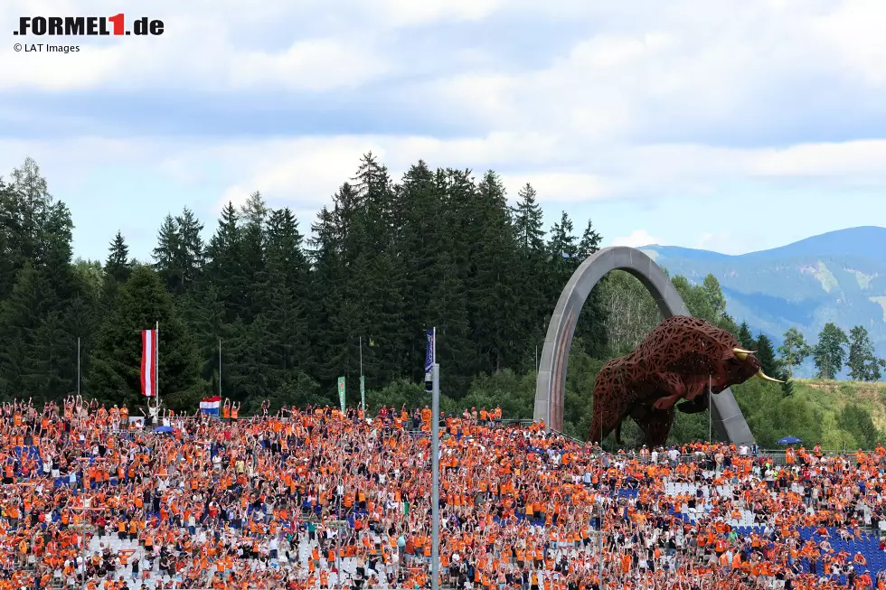 Foto zur News: Fans von Max Verstappen (Red Bull)