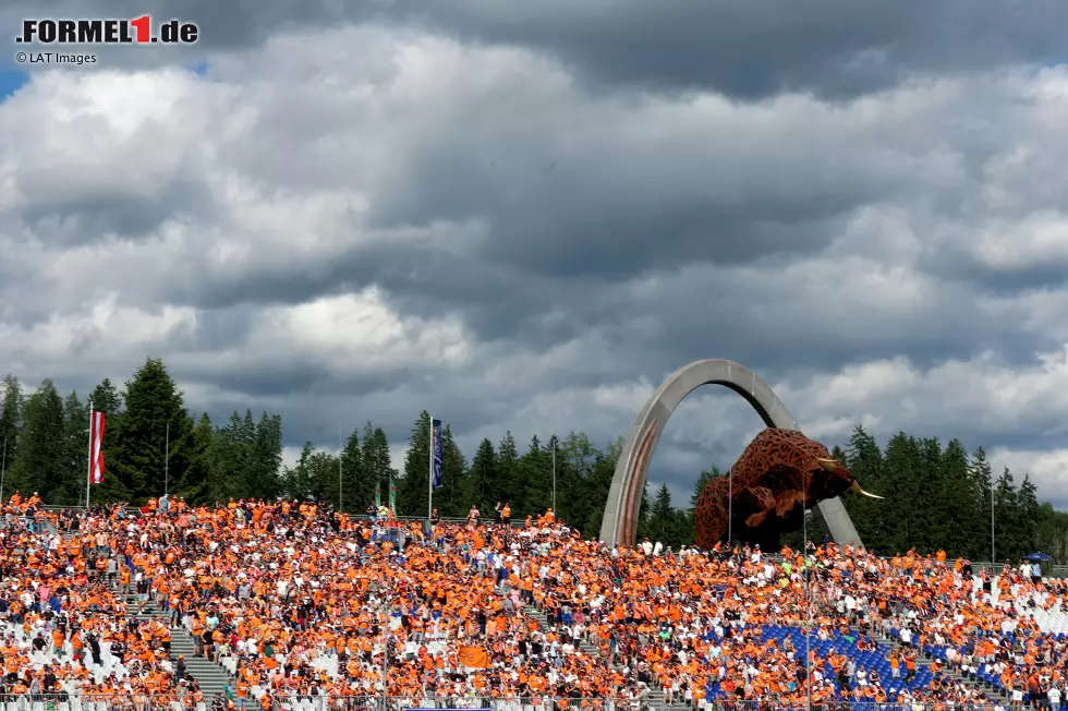 Foto zur News: Fans von Max Verstappen (Red Bull)