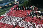 Foto zur News: Fans in Spielberg