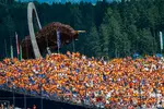 Foto zur News: Fans von Max Verstappen (Red Bull)