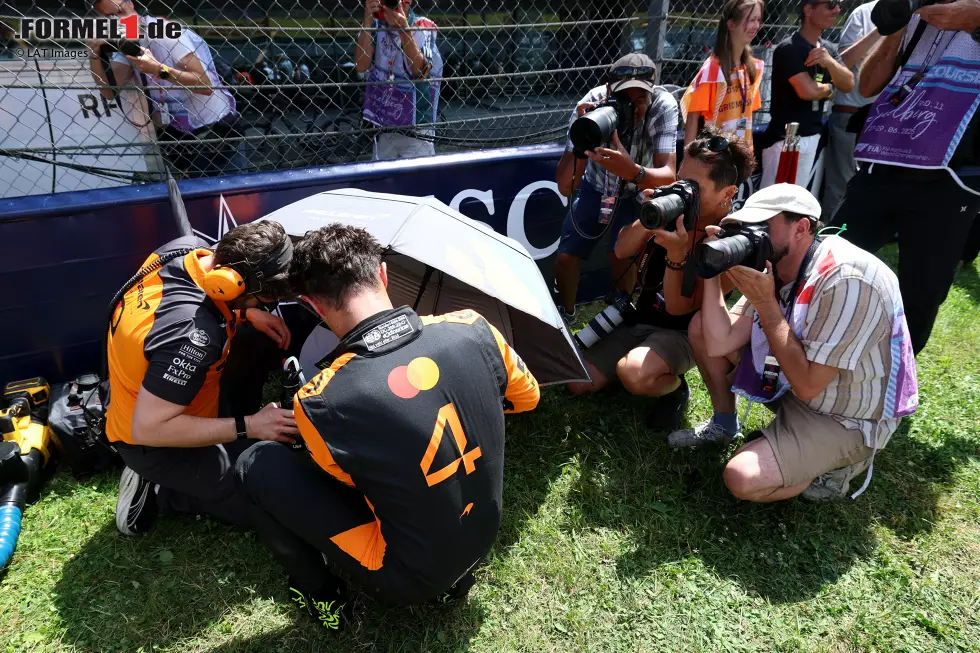 Foto zur News: Lando Norris (McLaren)
