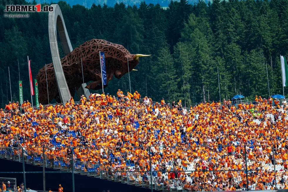 Foto zur News: Fans von Max Verstappen (Red Bull)