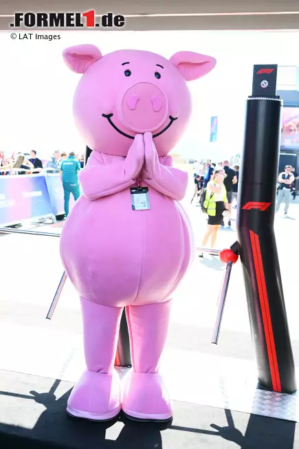 Foto zur News: Percy Pig