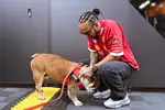 Foto zur News: Lewis Hamilton (Ferrari)
