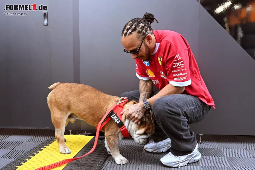 Foto zur News: Lewis Hamilton (Ferrari)