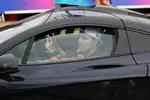Foto zur News: Lando Norris (McLaren)