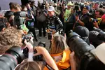 Foto zur News: Lando Norris (McLaren)