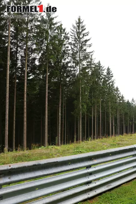 Foto zur News: Die Wälder am Streckenrand hinter den Leitplanken