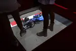 Foto zur News: Alexander Albon (Williams)