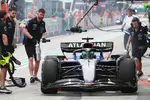 Foto zur News: Alexander Albon (Williams)
