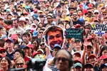Foto zur News: Fans von Alexander Albon (Williams)