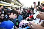 Foto zur News: Franco Colapinto (Alpine)