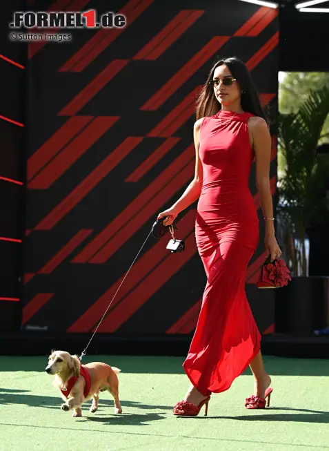 Foto zur News: Alexandra Saint Mleux, Lebensgefährtin von Charles Leclerc (Ferrari), mit Hund Leo