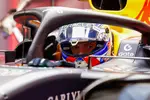 Foto zur News: Max Verstappen (Red Bull)
