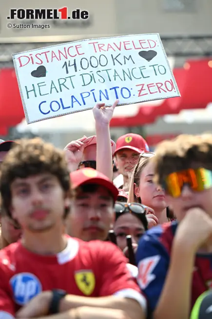 Foto zur News: Franco Colapinto (Alpine)