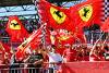 Fotos: F1: Grand Prix von Italien (Monza) 2022 - Sonntag