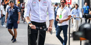 Foto zur News: Fotos: F1: Grand Prix von Italien (Monza) 2023 - Sonntag