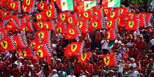 Foto zur News: F1: Grand Prix der Emilia-Romagna (Imola) 2025