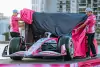 Foto zur News: Das Miami-Sonderdesign von Racing Bulls