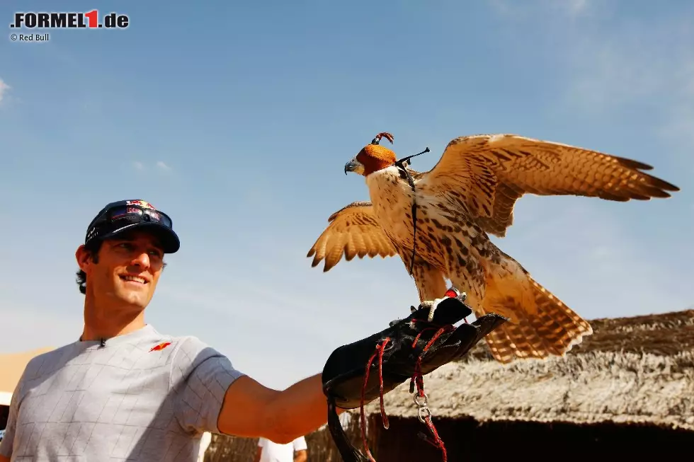 Foto zur News: Mark Webber auf Abwegen in der Wüste. Wenn schon Red Bull keine Flügel verleiht, dieser Vogel kann&#039;s bestimmt.