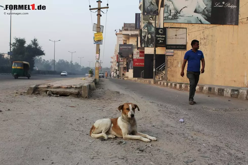 Ob sich die beiden dann tatsächlich mit dem grün-gelben Minimobil auf den Weg gemacht haben? Delhi ist jedenfalls anders. "Ein Moloch", sagen die einen, "eine interessante Kultur", findet Sebastian Vettel. Foto zur News: Ob sich die beiden dann tatsächlich mit dem grün-gelben Minimobil auf den Weg gemacht haben? Delhi ist jedenfalls anders. "Ein Moloch", sagen die einen, "eine interessante Kultur", findet Sebastian Vettel.