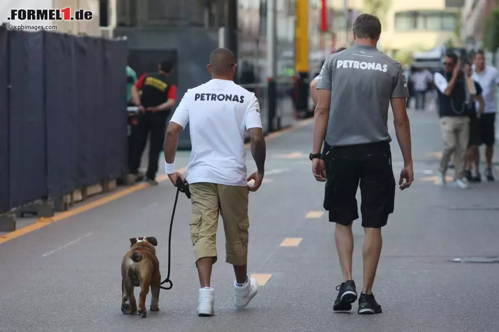 Foto zur News: Daily Mail (Großbritannien): "Chaos in Monaco! Nach all dem Gerede über Lewis Hamiltons Bulldogge nahm der Mann, der eigentlich Hamiltons Pudel sein sollte, einen Happen von Hamiltons ausgezeichnetem Ruf, indem er den von einer Kontroverse überschatteten Monaco-Grand-Prix gewann."