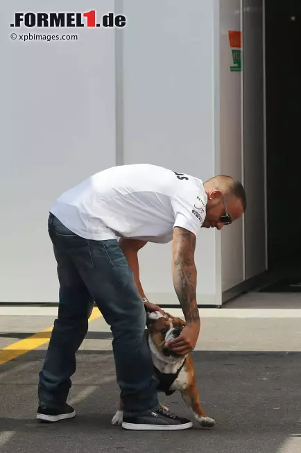 Foto zur News: On-&-Off Freundin Nicole Scherzinger haben wir schon länger nicht mehr im Formel-1-Paddock gesehen, dafür beschäftigt sich Lewis Hamilton dieser Tage umso liebevoller mit seinem Hund Roscoe. Der hat seine Lungenentzündung, an der via Twitter die ganze Welt teilhaben konnte, offensichtlich gut überstanden.