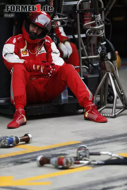 Ein Spruch von Sebastian Vettel sorgt für Aufregung: Während andere schon ihre Eier in den Pool hängen lassen... Foto zur News: Ein Spruch von Sebastian Vettel sorgt für Aufregung: Während andere schon ihre Eier in den Pool hängen lassen...