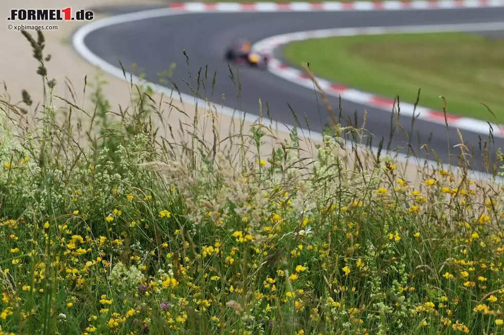 Der Standard (Österreich): "Vettel gewinnt zum ersten Mal in der Heimat. Erster Sieg am Nürburgring - Schrecksekunde für Red Bull, verlorener Reifen trifft Kameramann." Foto zur News: Der Standard (Österreich): "Vettel gewinnt zum ersten Mal in der Heimat. Erster Sieg am Nürburgring - Schrecksekunde für Red Bull, verlorener Reifen trifft Kameramann."
