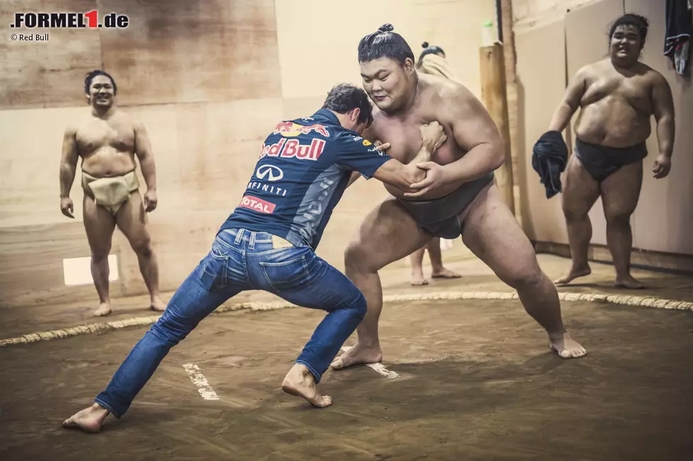 Foto zur News: Ja, er stellt sich gar nicht so dumm an, beim Sumo-Ringen, der gerade mal 66 Kilo schwere Sonnyboy Daniel Ricciardo. Zumindest besser als Teamkollege Daniil Kwjat. Aber dass er letztendlich keine Chance hat, versteht sich von selbst: "Das ist so, als würdest du gegen eine Ziegelmauer laufen!"