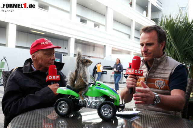 Foto zur News: Kurioses Geschenk von Bernie Ecclestone an Niki Lauda: Das Eichhörnchen auf dem grünen Quad hat der Formel-1-Boss bei einer Auktion in London ersteigert - und dem Mercedes-Boss in einer Schachtel in die Silberpfeil-Hospi geschickt, weil er es für eine Ratte hielt. Denn: Laudas Spitzname in seiner aktive Zeit war "The Rat".