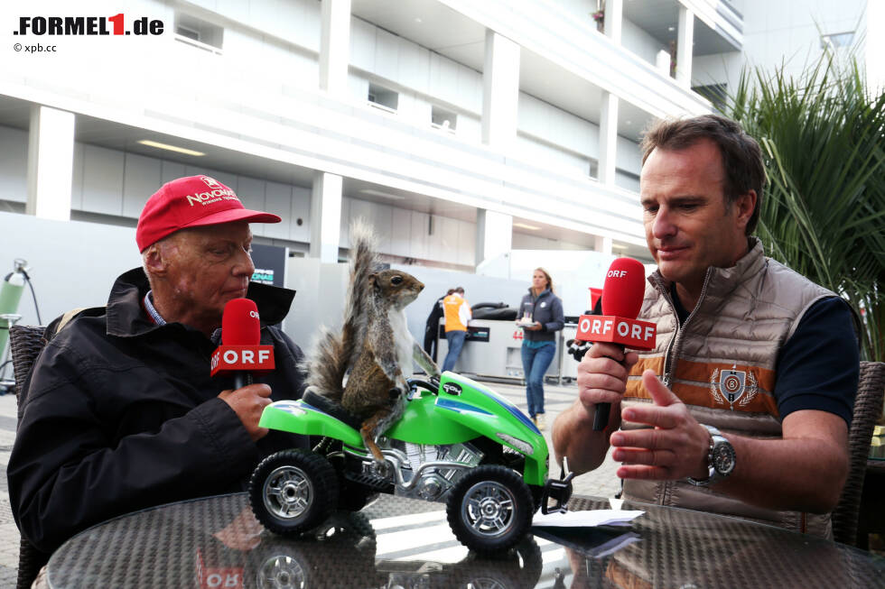 Foto zur News: Kurioses Geschenk von Bernie Ecclestone an Niki Lauda: Das Eichhörnchen auf dem grünen Quad hat der Formel-1-Boss bei einer Auktion in London ersteigert - und dem Mercedes-Boss in einer Schachtel in die Silberpfeil-Hospi geschickt, weil er es für eine Ratte hielt. Denn: Laudas Spitzname in seiner aktive Zeit war &quot;The Rat&quot;.