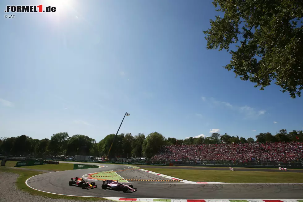 ... dieses Jahr in Monza Daniel Ricciardo: Als der durchs Feld pfügende Red-Bull-Pilot per Funk informiert wird, dass als nächster Monaco-Nachbar Felipe Massa an der Reihe ist, leckt er Blut: "Ich mag es, wenn sie verwundbar sind." Und zeigt gegen den Williams-Piloten eines der besten Überholmanöver des Jahres. Für den rührendsten ... Foto zur News: ... dieses Jahr in Monza Daniel Ricciardo: Als der durchs Feld pfügende Red-Bull-Pilot per Funk informiert wird, dass als nächster Monaco-Nachbar Felipe Massa an der Reihe ist, leckt er Blut: "Ich mag es, wenn sie verwundbar sind." Und zeigt gegen den Williams-Piloten eines der besten Überholmanöver des Jahres. Für den rührendsten ...