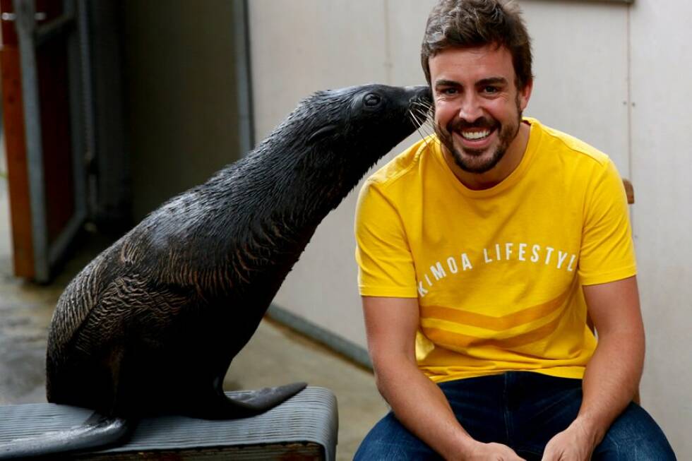 Foto zur News: Im Zoo von Melbourne freundet sich Fernando Alonso mit der Tierwelt an. Da kann der McLaren-Star noch lachen. Nach dem (in eigenen Worten) besten Rennen seines Lebens, in dem er hoffnungslos hinterherfährt, ist die Laune nicht mehr so gut.