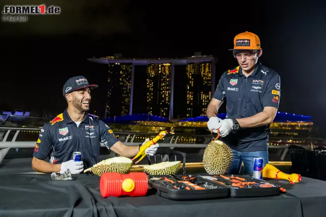 Die Durian-Frucht, auch als Stinkfrucht bekannt, ist nicht jedermanns Sache. Die Herren Ricciardo und Red Bull entwickeln zu ihr eine Hassliebe, weil sie Red Bull vor eine besondere Challenge stellt: eine davon zu knacken - was gar nicht so einfach ist! Wie Durian schmeckt? "Noch schlimmer als es riecht", lacht Ricciardo. Foto zur News: Die Durian-Frucht, auch als Stinkfrucht bekannt, ist nicht jedermanns Sache. Die Herren Ricciardo und Red Bull entwickeln zu ihr eine Hassliebe, weil sie Red Bull vor eine besondere Challenge stellt: eine davon zu knacken - was gar nicht so einfach ist! Wie Durian schmeckt? "Noch schlimmer als es riecht", lacht Ricciardo.