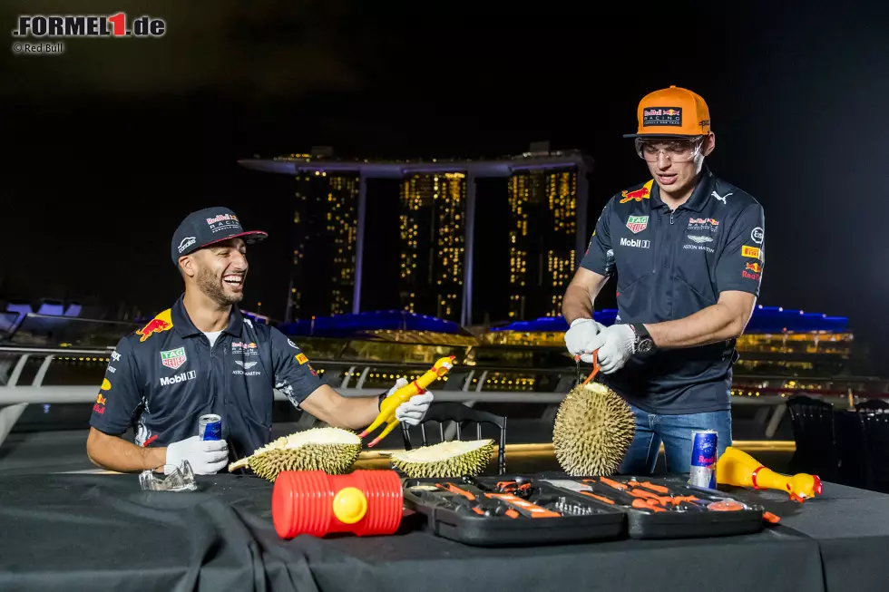 Die Durian-Frucht, auch als Stinkfrucht bekannt, ist nicht jedermanns Sache. Die Herren Ricciardo und Red Bull entwickeln zu ihr eine Hassliebe, weil sie Red Bull vor eine besondere Challenge stellt: eine davon zu knacken - was gar nicht so einfach ist! Wie Durian schmeckt? "Noch schlimmer als es riecht", lacht Ricciardo. Foto zur News: Die Durian-Frucht, auch als Stinkfrucht bekannt, ist nicht jedermanns Sache. Die Herren Ricciardo und Red Bull entwickeln zu ihr eine Hassliebe, weil sie Red Bull vor eine besondere Challenge stellt: eine davon zu knacken - was gar nicht so einfach ist! Wie Durian schmeckt? "Noch schlimmer als es riecht", lacht Ricciardo.