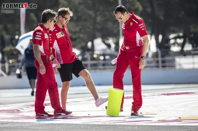 Sebastian Vettel ist kein Fan: "Vielleicht ist die Strecke nicht die aufregendste, die es in Frankreich gibt. Wenn der Frankreich-Grand-Prix im Kalender bleibt - was ich hoffe -, dann wäre es vielleicht schön, irgendwo anders hinzugehen." Foto zur News: Sebastian Vettel ist kein Fan: "Vielleicht ist die Strecke nicht die aufregendste, die es in Frankreich gibt. Wenn der Frankreich-Grand-Prix im Kalender bleibt - was ich hoffe -, dann wäre es vielleicht schön, irgendwo anders hinzugehen."