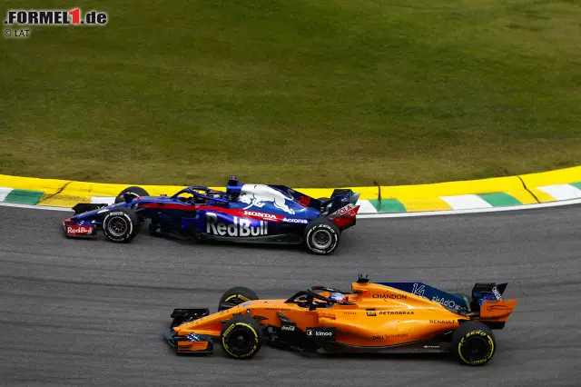 Brendon Hartley (3): Endlich mal eine richtig solide Leistung des Neuseeländers! Gasly hatte er zwar nicht im Griff, aber er war in Brasilien um einen Tick besser als der künftige Red-Bull-Pilot. Wäre er immer so aufgetreten, hätte er sein Cockpit für 2019 wohl schon in der Tasche. Foto zur News: Brendon Hartley (3): Endlich mal eine richtig solide Leistung des Neuseeländers! Gasly hatte er zwar nicht im Griff, aber er war in Brasilien um einen Tick besser als der künftige Red-Bull-Pilot. Wäre er immer so aufgetreten, hätte er sein Cockpit für 2019 wohl schon in der Tasche.