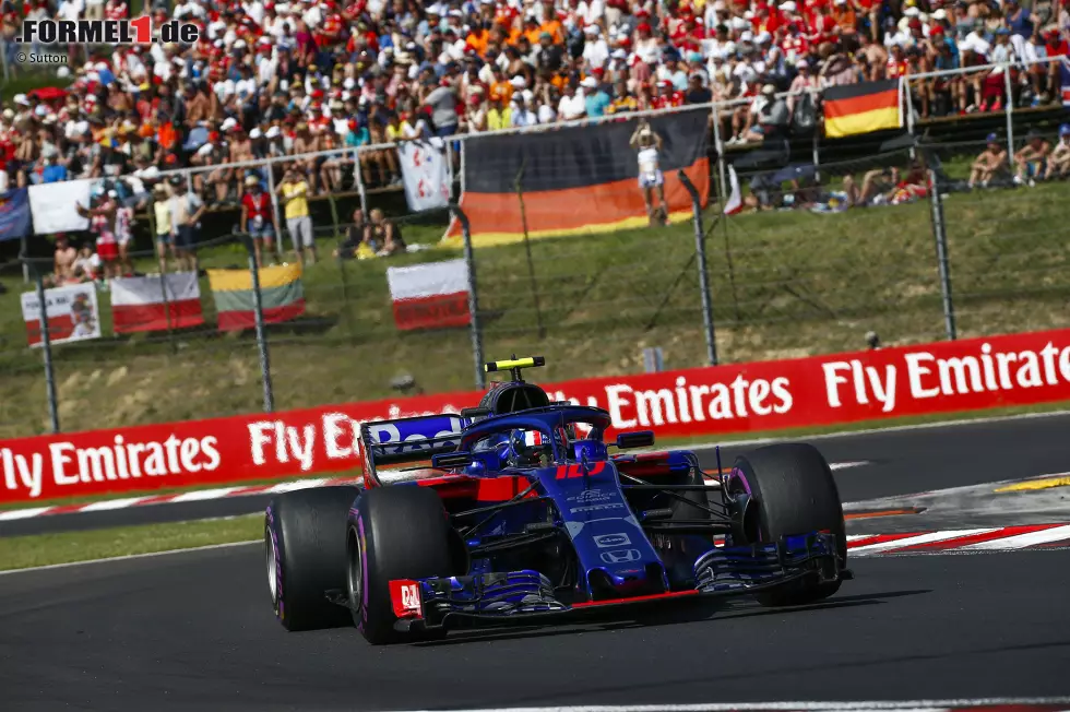 Pierre Gasly (1): Unser Mann des Wochenendes ist aber der Franzose! Verstappen im Regen gebügelt, souverän Rang sechs nach Hause gefahren und als einziger Fahrer außerhalb der Top-3-Teams nicht überrundet worden. Mehr kann man mit seinem Material gar nicht verlangen! Foto zur News: Pierre Gasly (1): Unser Mann des Wochenendes ist aber der Franzose! Verstappen im Regen gebügelt, souverän Rang sechs nach Hause gefahren und als einziger Fahrer außerhalb der Top-3-Teams nicht überrundet worden. Mehr kann man mit seinem Material gar nicht verlangen!