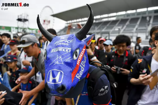 Hier hat jemand "Toro Rosso" offenbar etwas zu wörtlich genommen ... Foto zur News: Hier hat jemand "Toro Rosso" offenbar etwas zu wörtlich genommen ...