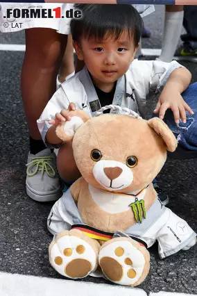 ... und selbst die Kuscheltiere sind in Teamkleidung unterwegs! Foto zur News: ... und selbst die Kuscheltiere sind in Teamkleidung unterwegs!