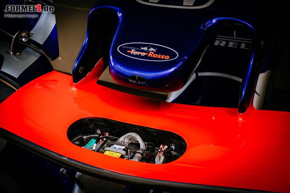 Foto zur News: Toro Rosso STR14: Frontflügel