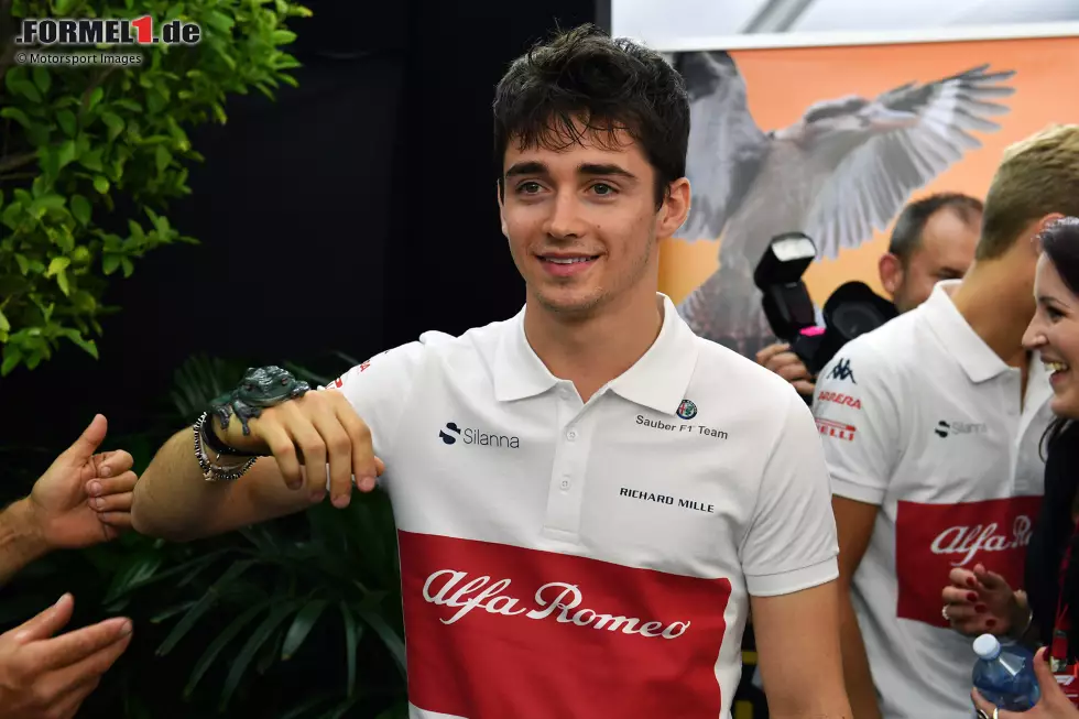 Foto zur News: Charles Leclerc macht bei seinem Formel-1-Debüt in Melbourne 2018 erst einmal Bekanntschaft mit der australischen Tierwelt. Im ersten Rennen für Alfa Romeo kommt er auf Platz 13 ins Ziel.