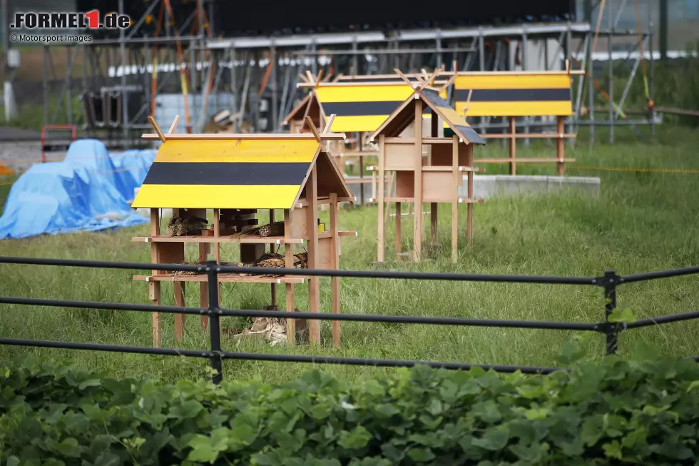 Foto zur News: ... pure Absicht: Sie stehen für die Wildbienen, die sich in den Insekten-Hotels ansiedeln sollen, mit der Biene als eine &quot;Botschafterin&quot; für das gesamte Vorhaben, so formuliert es Vettel selbst. Der viermalige Weltmeister ...