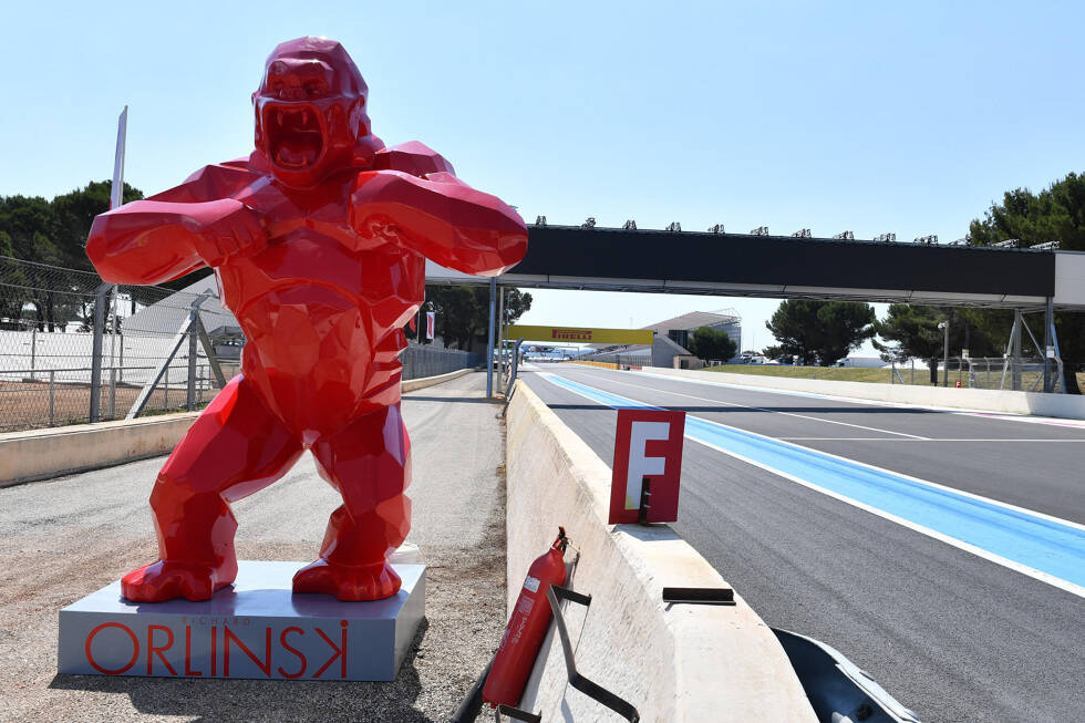 Foto zur News: Die Formel-1-Fahrer über die Frankreich-Rückkehr: Warum in Le Castellet nicht alles gold ist, was glänzt